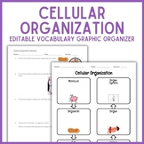 Cellular Organization Vocabulary Graphic Organizer | Biolo