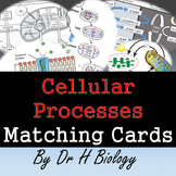 Cellular Processes Matching Cards