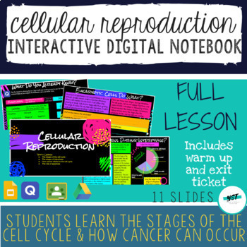 Preview of Cellular Reproduction Interactive Digital Notebook