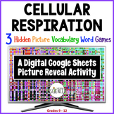 Cellular Respiration Google Hidden Picture Games