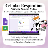 Cellular Respiration Amoeba Sisters Practice Quiz | Digita