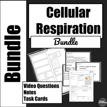 Preview of Cellular Respiration Bundle