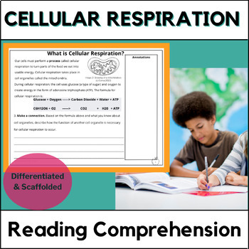 Preview of Cellular Respiration - Cells Reading Comprehension - Differentiated & Scaffolded