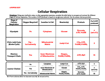 Cellular Respiration Chart by A-Thom-ic Science | TpT