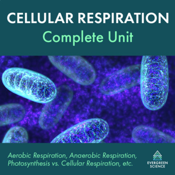 Preview of Cellular Respiration Complete Unit