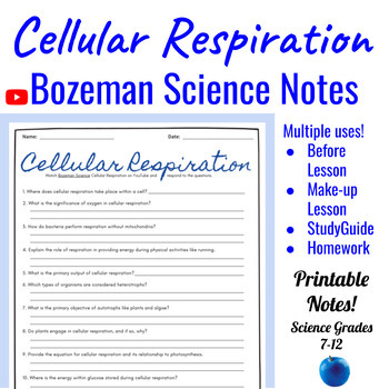 Preview of Cellular Respiration Comprehensive Worksheet | Bozeman Science