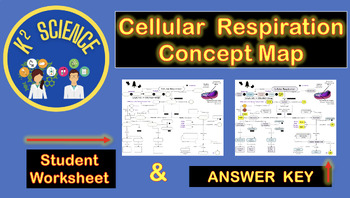 Preview of Cellular Respiration Concept Map with Answer Key
