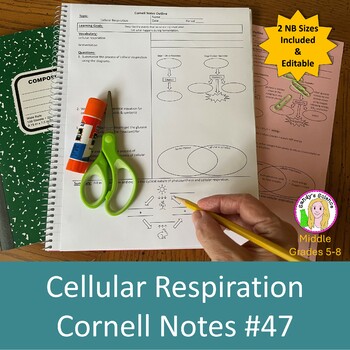 Preview of Cellular Respiration Cornell Notes #47
