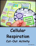 Cellular Respiration Cutout Activity