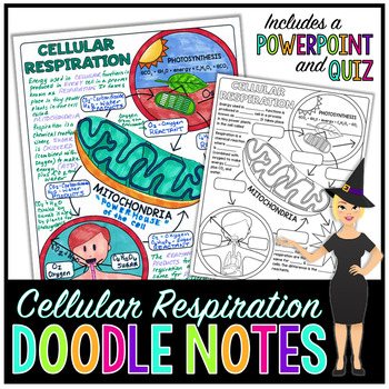 Preview of Cellular Respiration Doodle Notes | Science Doodle Notes
