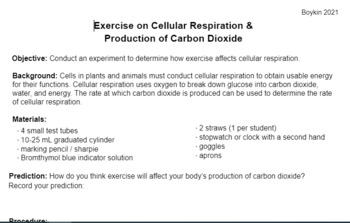 Preview of Cellular Respiration & Exercise Lab (Carbon Dioxide Production)