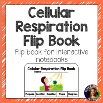 Preview of Cellular Respiration Flip Book