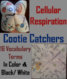 Cellular Respiration Activity (Cootie Catcher Foldable Gam