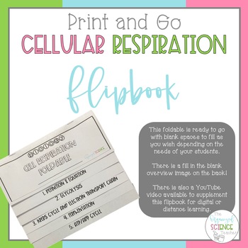 Preview of Cellular Respiration Foldable - Includes Video for Distance Learning