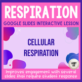Cellular Respiration - Presentation & Guided Notes