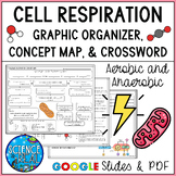 Cellular Respiration Graphic Organizer and Worksheets - Ce