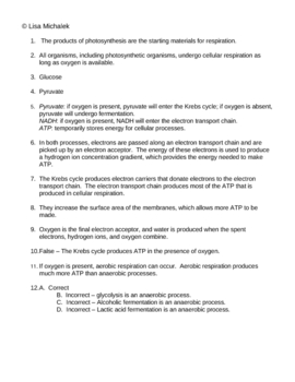 Critical Thinking Questions Cellular Respiration Critical Thinking Photosynthesis And Cellular Respiration