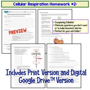 Cellular Respiration Lab 5 Teacher Guide