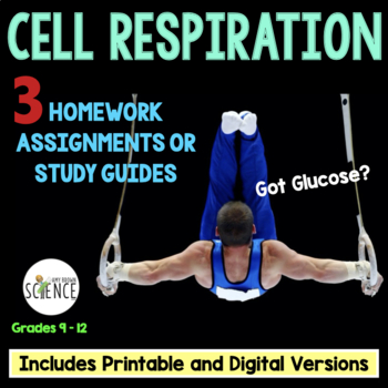 Preview of Cellular Respiration Homework Worksheets