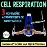Cellular Respiration Homework Worksheets