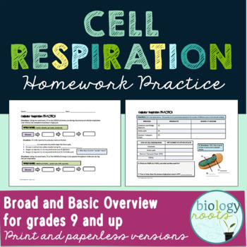 pre lesson homework quiz cellular respiration