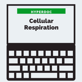 Preview of Cellular Respiration HyperDoc