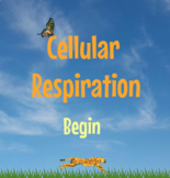 Cellular Respiration Interactive + Google Form: NO PREP