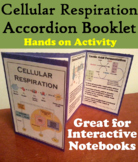 Cellular Respiration Activity Interactive Notebook Foldable