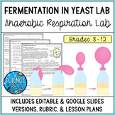 Cellular Respiration Lab - Anaerobic Respiration in Yeast 