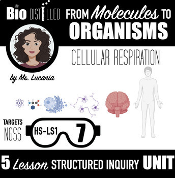 Preview of From Molecules to Organisms Cellular Respiration Structured Inquiry NGSS Unit