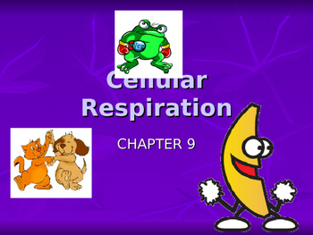 Cellular Respiration Notes by Ms Solo | TPT