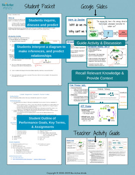 Cellular Respiration Packet 15 pages- Unit Preview, Notes, Jigsaw Project &  Lab