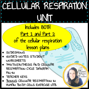 Preview of Cellular Respiration Lesson and Lab