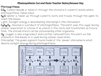 Cellular respiration cut and paste activity