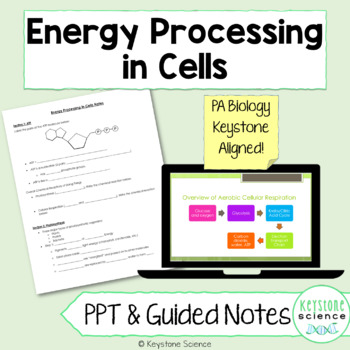 Preview of Cellular Respiration Photosynthesis PowerPoint and Guided Notes Keystone Aligned