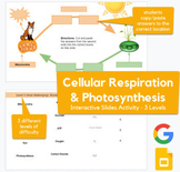 Cellular Respiration & Photosynthesis - Slides Drag-and-dr
