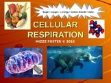 Cellular Respiration PowerPoint