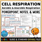 Cellular Respiration PowerPoint, Notes, Questions, and Kahoot