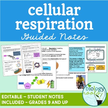 Preview of Cellular Respiration Guided Notes