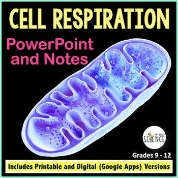 Preview of Cellular Respiration  - Teaching PowerPoint and Notes for Cell Respiration