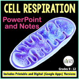 Cellular Respiration  - Teaching PowerPoint and Notes for 