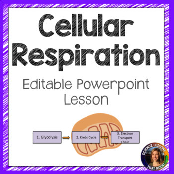 Preview of Cellular Respiration Powerpoint