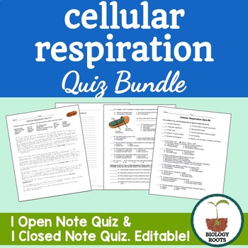 Preview of Cellular Respiration Quiz Bundle
