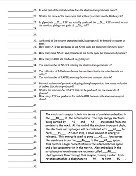 pre lesson homework quiz cellular respiration