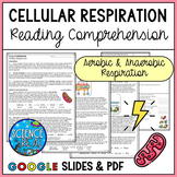 Cell Respiration Reading Comprehension and Questions