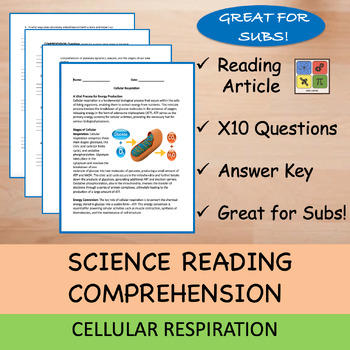 Preview of Cellular Respiration - Reading Passage and x 10 Questions (EDITABLE)