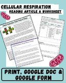Cellular Respiration Digital/Print Reading Article and Wor