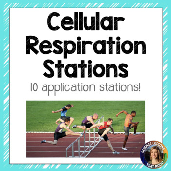 Preview of Cellular Respiration Station Activity