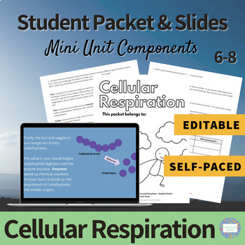 Preview of Cellular Respiration - Student Packet and Slides for Middle School NGSS MS-LS1-7