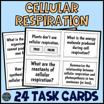 Preview of Cellular Respiration Task Cards